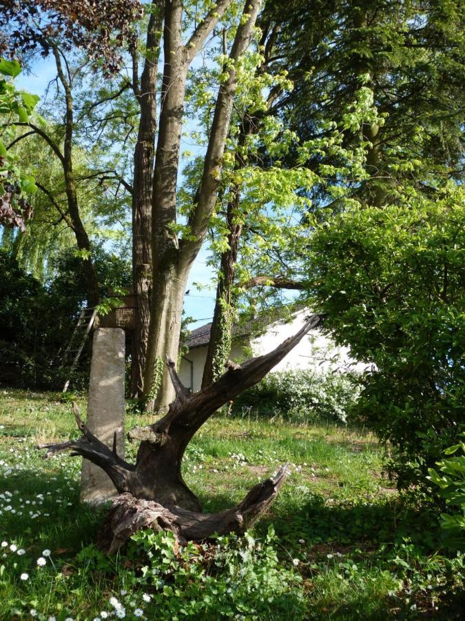 Gite D'Maisala Les Mesanges Heidwiller Eksteriør bilde
